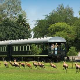 GÜNEY AFRİKA VE ZİMBABVE’YE  ÇOK ÖZEL BİR TREN YOLCULUĞU