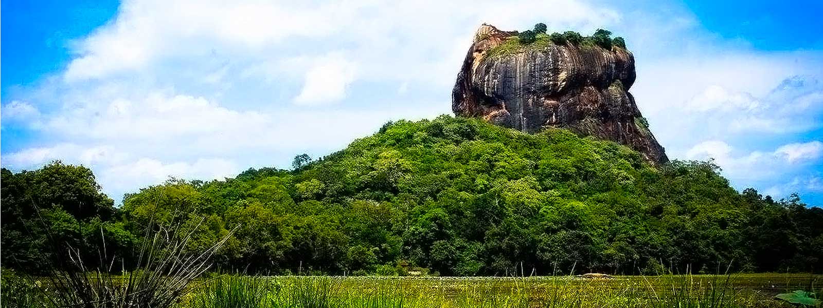 ŞRİ LANKA