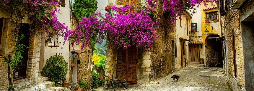 GÜNEŞ İMPARATORLUĞU PROVENCE