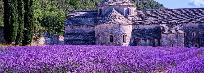 GÜNEŞ İMPARATORLUĞU PROVENCE