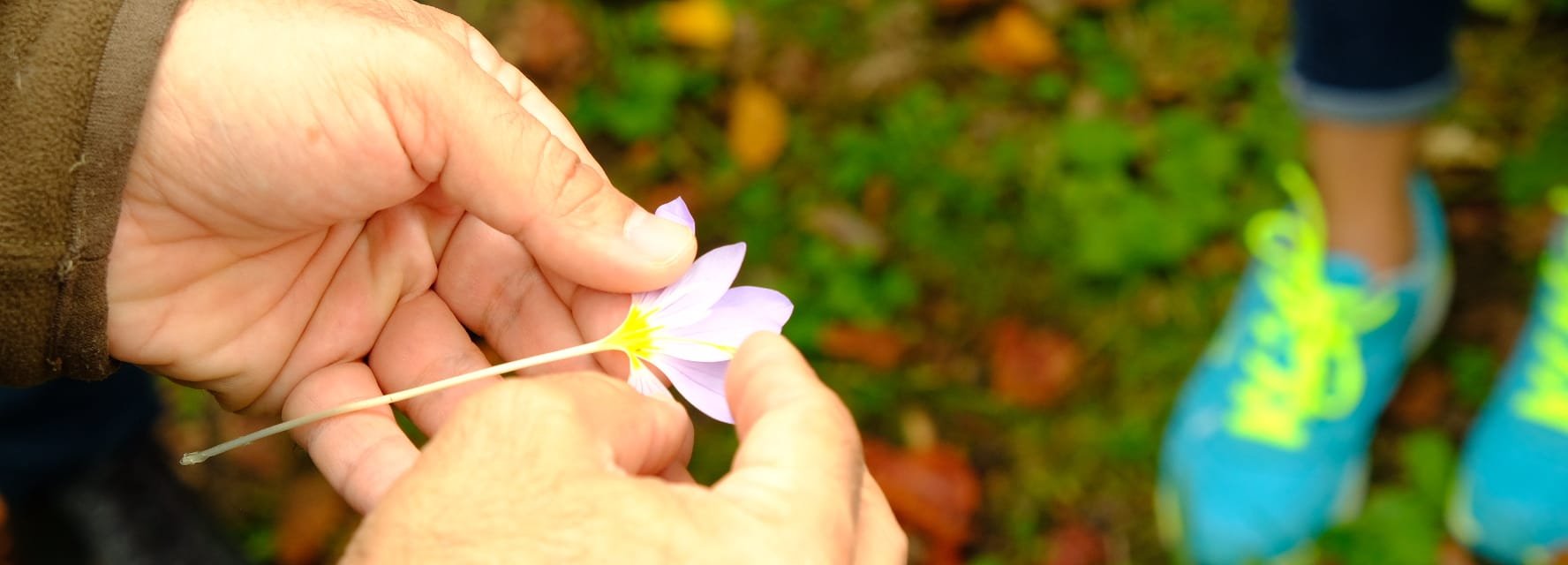  ATATÜRK ARBORETUMU