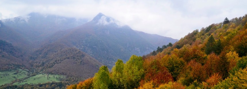 BATI KARADENİZ RENKLERİ