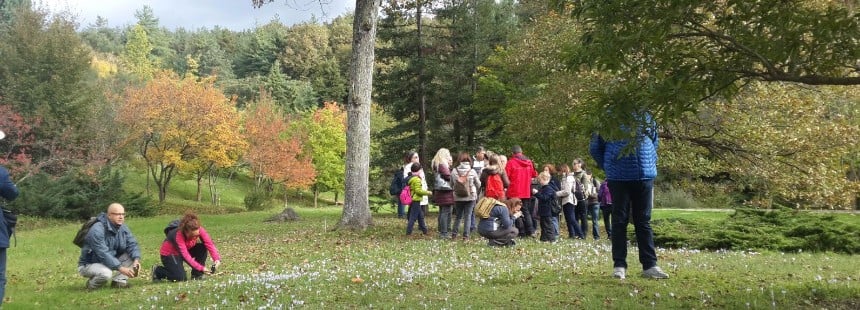 PROF. DR. FAİK YALTIRIK'IN AĞAÇLARI GEZİSİ : ATATÜRK ARBORETUMU -BELGRAD ORMANI 