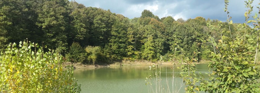 PROF. DR. FAİK YALTIRIK'IN AĞAÇLARI GEZİSİ : ATATÜRK ARBORETUMU -BELGRAD ORMANI 
