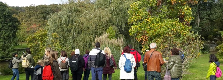 PROF. DR. FAİK YALTIRIK'IN AĞAÇLARI GEZİSİ : ATATÜRK ARBORETUMU -BELGRAD ORMANI 