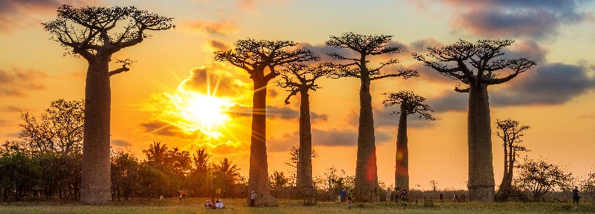 EXODUS: MADAGASKAR