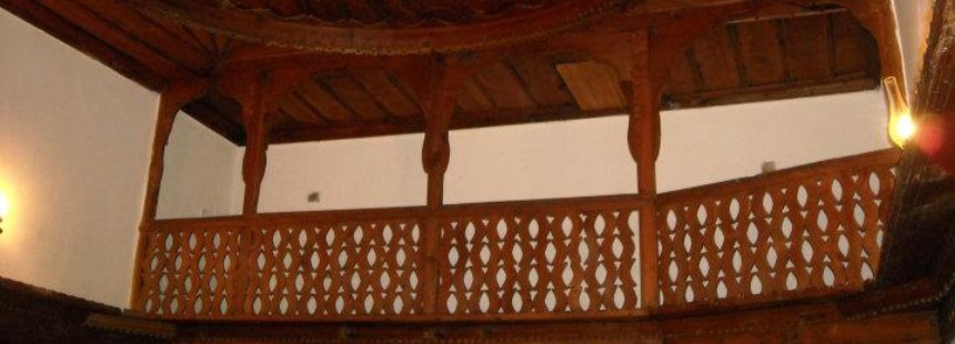 TOROSLAR’DA MANTAR AVI