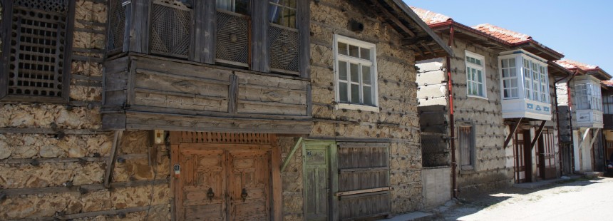 TOROSLAR’DA MANTAR AVI