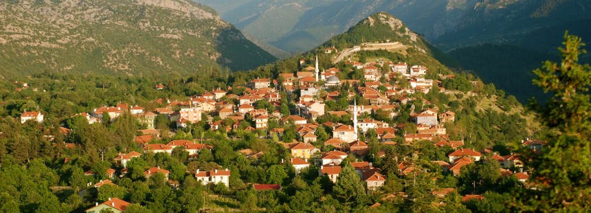 TOROSLAR’DA MANTAR AVI