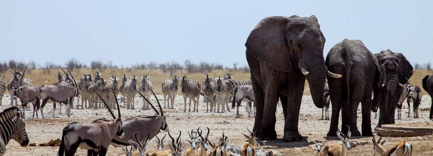 KİŞİYE ÖZEL BOTSWANA GEZİSİ