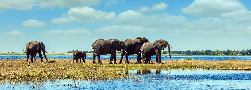 KİŞİYE ÖZEL BOTSWANA GEZİSİ