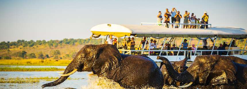 KİŞİYE ÖZEL BOTSWANA GEZİSİ