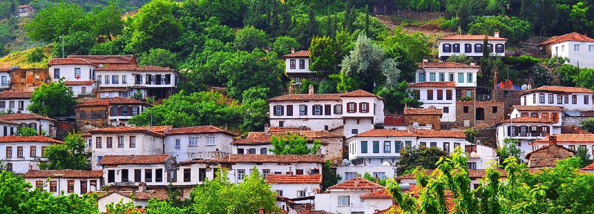 EFES DEVE GÜREŞİ FESTİVALİ