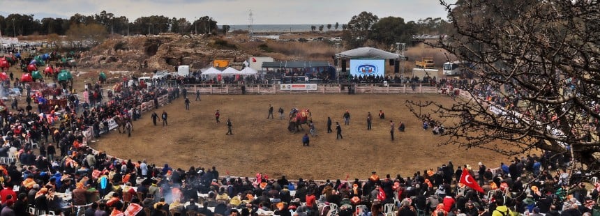 EFES DEVE GÜREŞİ FESTİVALİ
