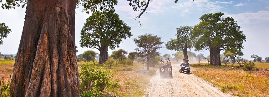OECONOMICA TANZANYA'DA SAFARİ