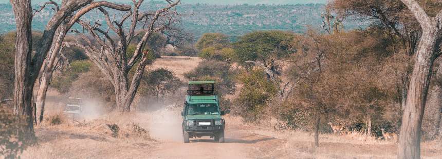 OECONOMICA TANZANYA'DA SAFARİ