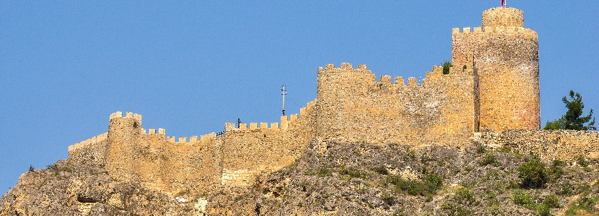 KUZEYDEN GÜNEYE ANADOLU FLORASI GEZİSİ 