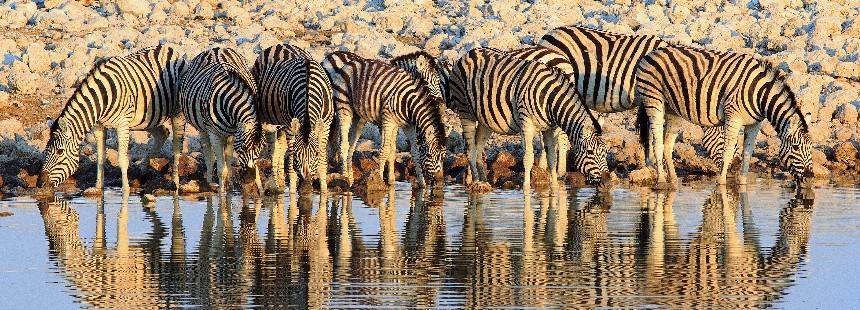TREN İLE PRETORYA - SWAKOPMUND "NAMİBYA SAFARİ"