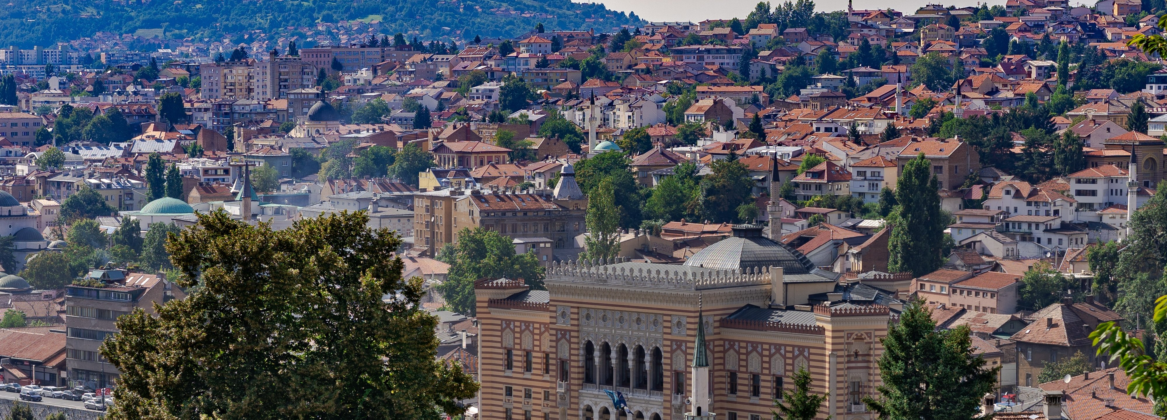 OECONOMICA: SARAYBOSNA TURU