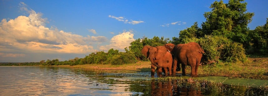 SABİ SABİ SELATİ CAMP / KRUGER ULUSAL PARKI