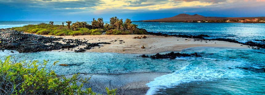 EXODUS: GALAPAGOS ADALARI VE AMAZON GEZİSİ 
