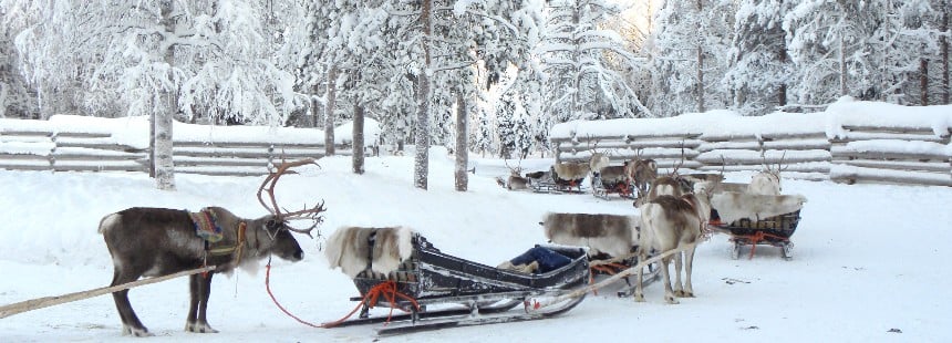 OECONOMİCA LAPLAND KUZEY FİNLANDİYA 