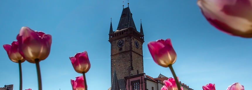 BOHEMYA FLORASI VE PRAG’DA NOSTALJİ