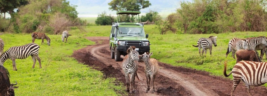 BÜYÜK GÖÇ ZAMANI TANZANYA’DA SAFARİ
