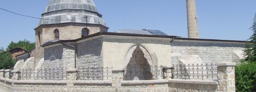 ELAZIĞ’DA BAĞBOZUMU