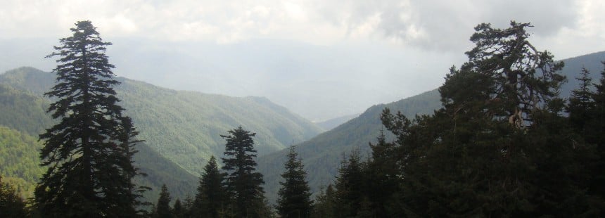 KEREMALİ DAĞI FLORASI ÇİĞDEM VE DİKMEN YAYLALARI 