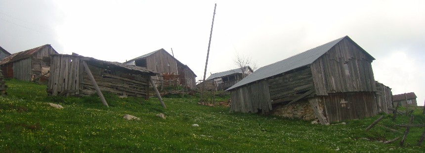 KEREMALİ DAĞI FLORASI ÇİĞDEM VE DİKMEN YAYLALARI 