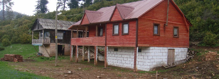 KEREMALİ DAĞI FLORASI ÇİĞDEM VE DİKMEN YAYLALARI 