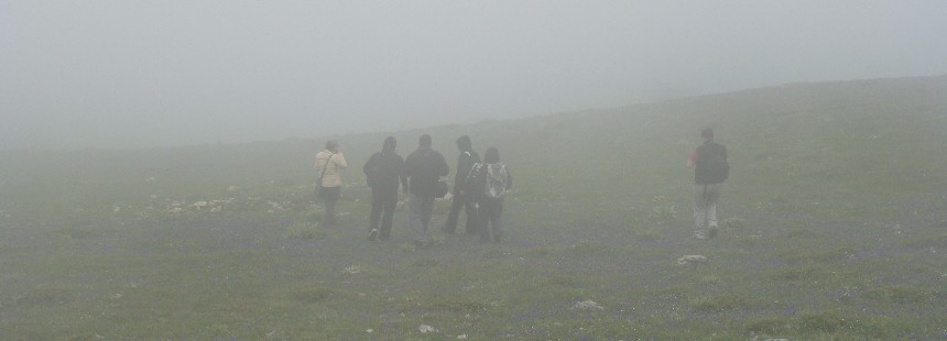 KEREMALİ DAĞI FLORASI ÇİĞDEM VE DİKMEN YAYLALARI 