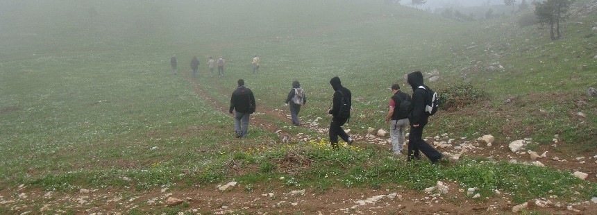 KEREMALİ DAĞI FLORASI ÇİĞDEM VE DİKMEN YAYLALARI 