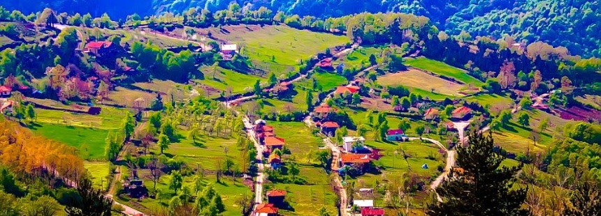 YUVACIK BARAJI HAVZASI FLORASI: AYTEPE - BEŞKAYALAR TABİAT PARKI - SOĞUKPINAR - MENEKŞE YAYLASI