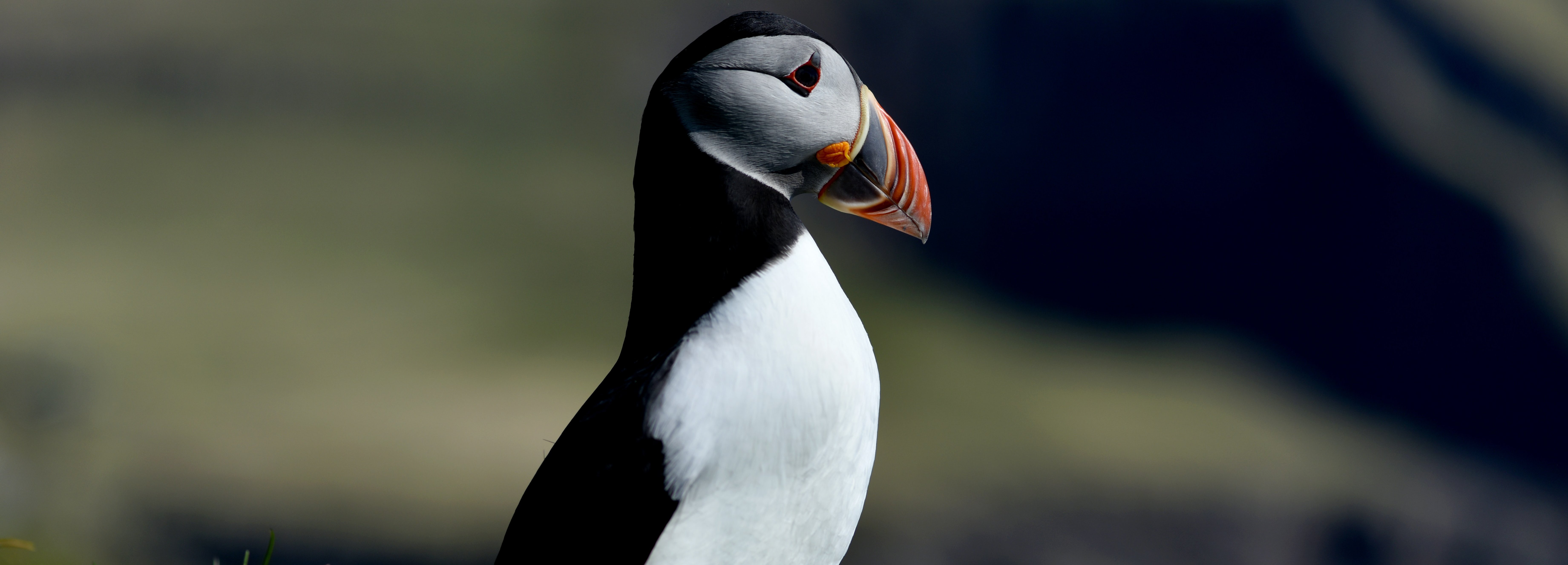 FAROE ADALARI TURU