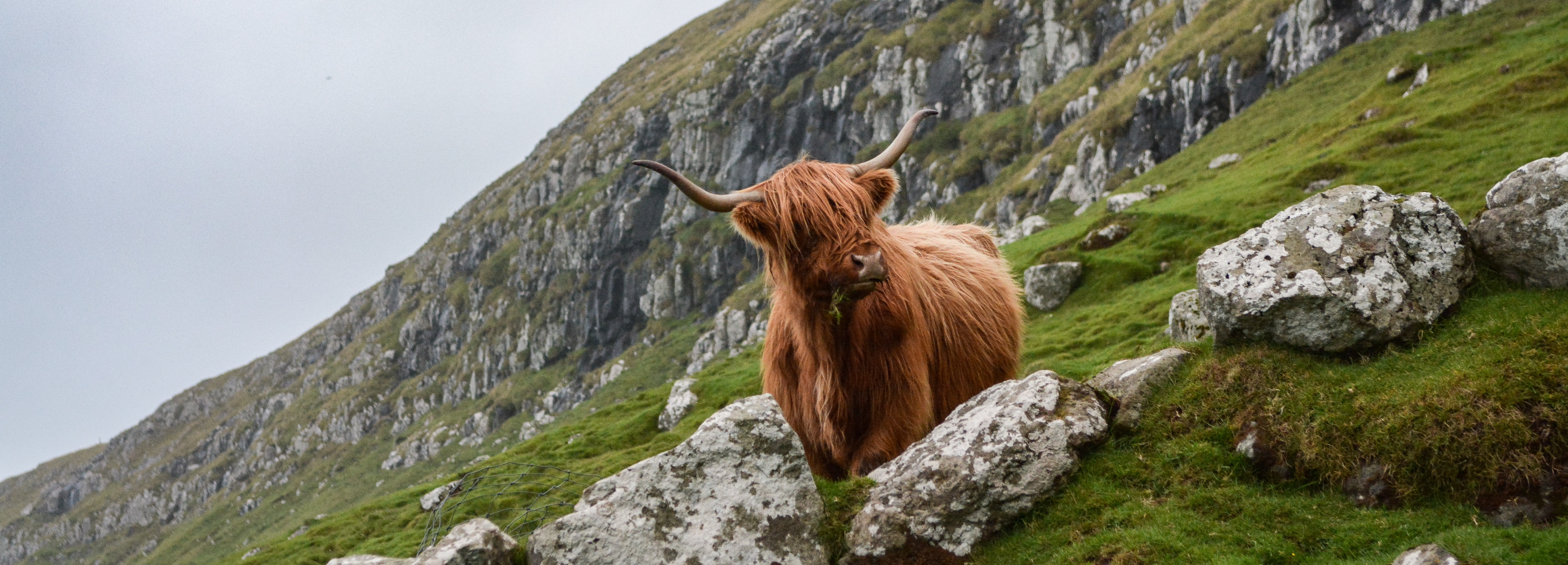 FAROE ADALARI TURU