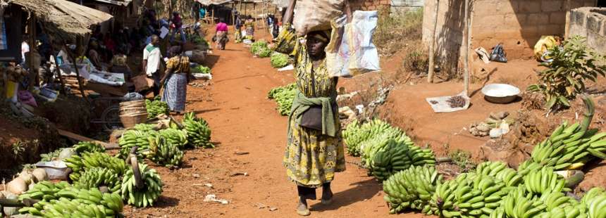 KAMERUN: AFRİKA'NIN MİNYATÜRÜ