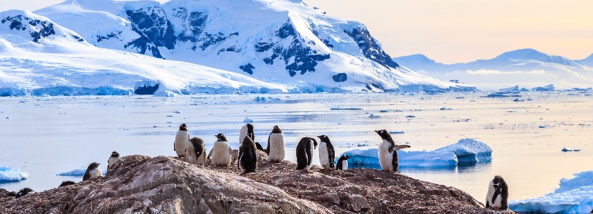 EXPEDITION ANTARCTICA