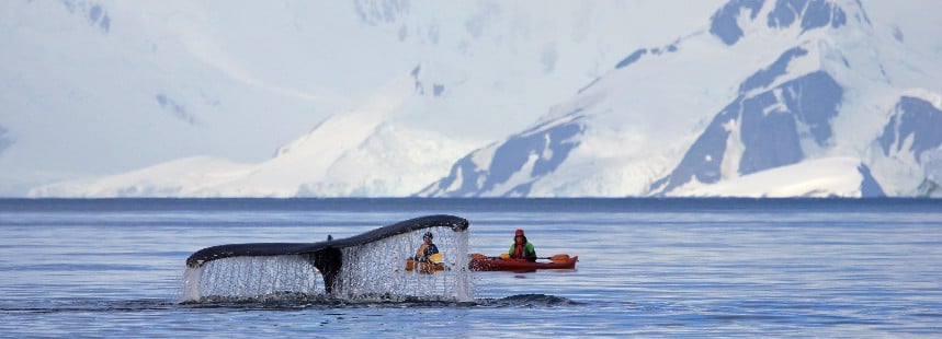 EXPEDITION ANTARCTICA