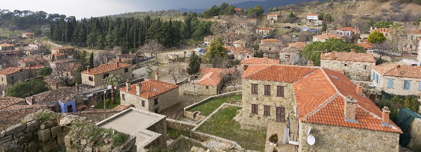 KAZDAĞLARI’NDA ZEYTİN HASADI VE AYVALIK