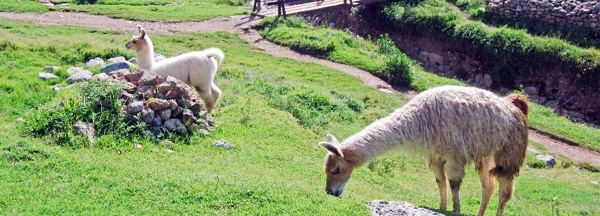 İSHAKPAŞA - VAN - TATVAN - AHLAT