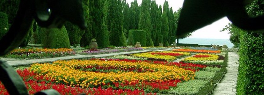 BULGARİSTAN FLORASI 
