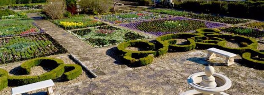 BULGARİSTAN FLORASI 