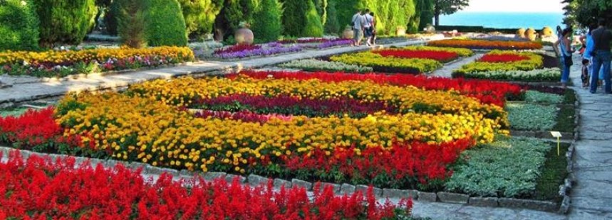 BULGARİSTAN FLORASI 