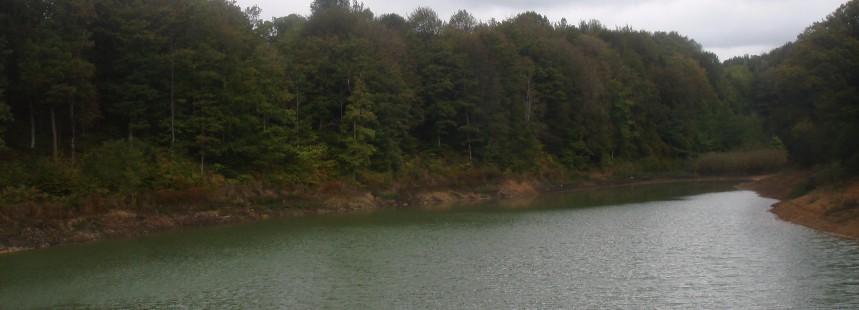 SU YOLLARI, BENTLERİ, KEMERLERİ VE FLORASI İLE BELGRAD ORMANI