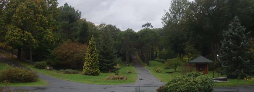 SU YOLLARI, BENTLERİ, KEMERLERİ VE FLORASI İLE BELGRAD ORMANI