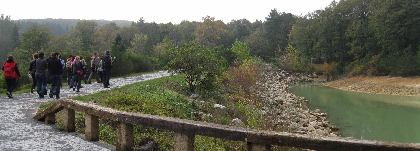 SU YOLLARI, BENTLERİ, KEMERLERİ VE FLORASI İLE BELGRAD ORMANI
