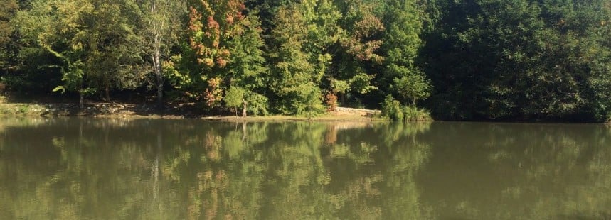 SU YOLLARI, BENTLERİ, KEMERLERİ VE FLORASI İLE BELGRAD ORMANI