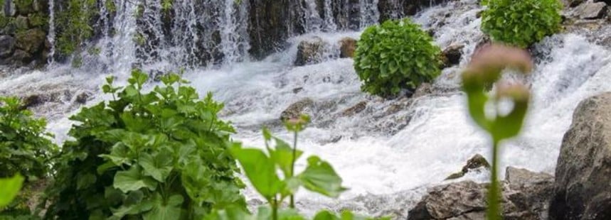 TUNCELİ MUNZUR VADİSİ TURU